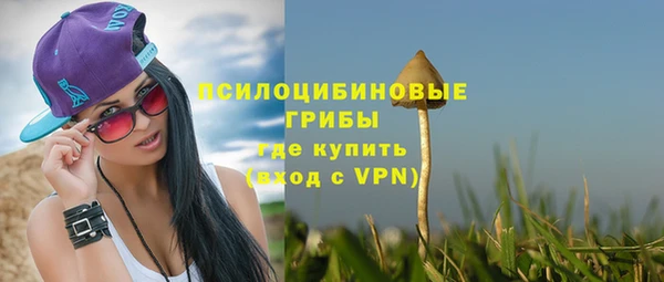 mdpv Дмитровск