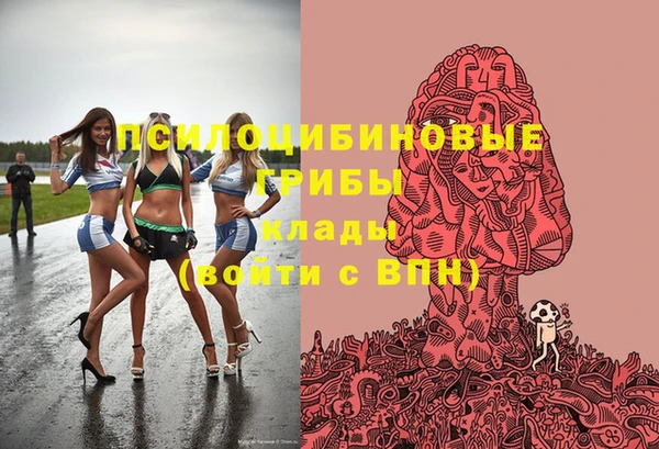 стаф Гатчина