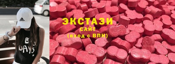 стаф Гатчина